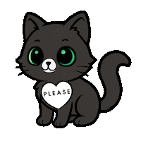 Cat Please Sticker
