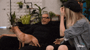 Jeff Goldblum Dogs GIF by National Geographic Channel