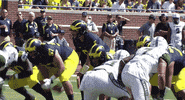 college football GIF by Michigan Athletics