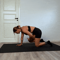 Bird Dog Calisthenics GIF