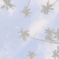 Fiji Goodbye GIF