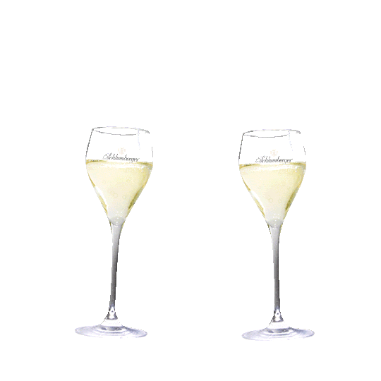 SchlumbergerSekt celebration cheers happy new year new year Sticker