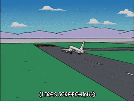 homer simpson plane on runway GIF