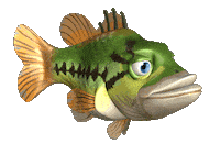 3D Fish Sticker