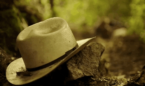 blood and treasure GIF by CBS