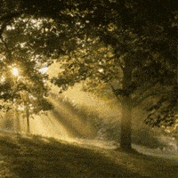 Winter Solstice Wizard GIF by TeaCosyFolk