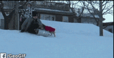GIF by Demic