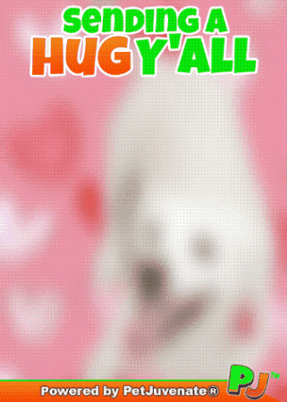 Hugs GIF by PetJuvenate - PJ