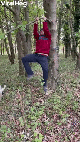 Dad Fails At Being Tarzan GIF by ViralHog