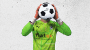 Yann Sommer Bundesliga GIF by Borussia Mönchengladbach