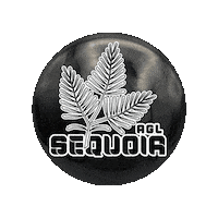 Sequoia Tree Disc Golf Sticker by AGLDiscs