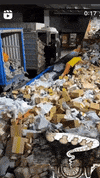 Performance Walking Bread GIF by Alex Boya