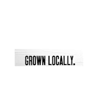 Dcdw Aigadc Sticker by DC Design Week