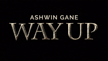 Merry Christmas Cat GIF by Ashwin Gane