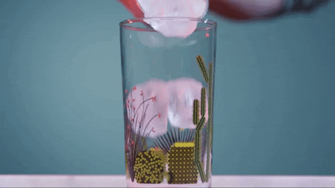 Happy Hour Tequila GIF by evite