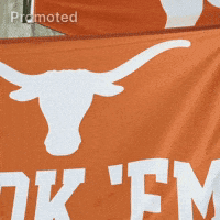 Cheers Texas GIF by Bud Light