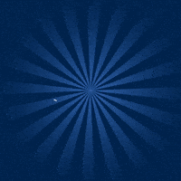 GIF by Siigo