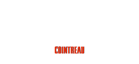 Happy Hour Cheers Sticker by cointreau_us