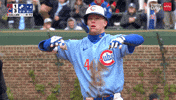 Chicago Cubs Baseball GIF