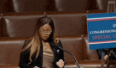 Debt Ceiling Talks GIF by GIPHY News