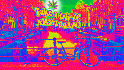 Weed Amsterdam GIF