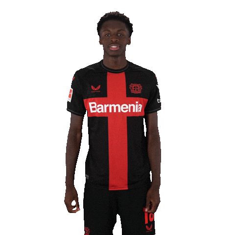 Bayer 04 Win Sticker by Bayer 04 Leverkusen