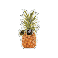 Pineapple Sticker by UULA.gif