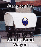 Buffalo Sabres Nhl GIF