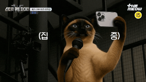 틴더스 GIF
