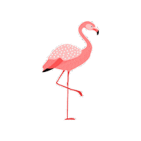 Convention At Sea Sticker by Lifes-Abundance