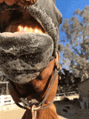 GingerBiscuits cookies snacking snaks ginger biscuits GIF
