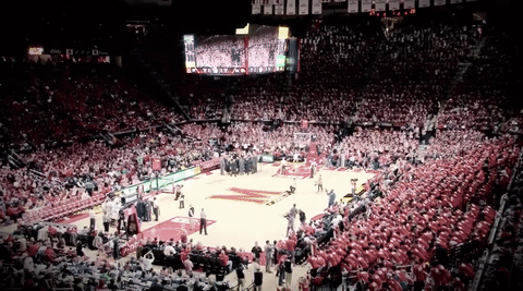 college sports ncaa GIF by Maryland Terrapins