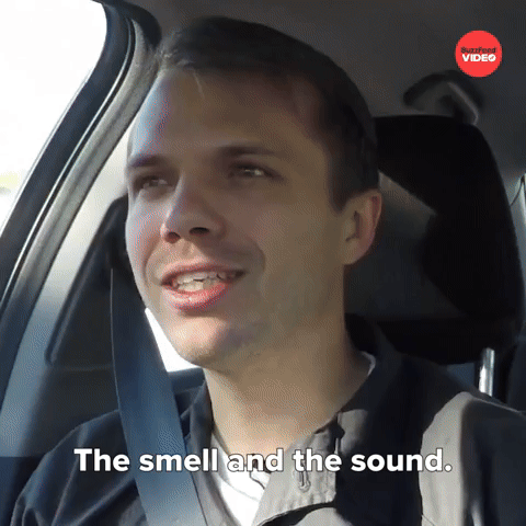 The Smell And The Sound