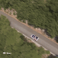 Erc GIF by FIA European Rally Championship