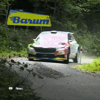 Erc GIF by FIA European Rally Championship