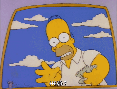 Season 2 GIF by The Simpsons