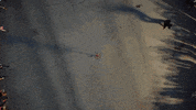 ring of fire drone GIF by Dynamic Discs