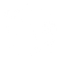 neuscarreras campo mushrooms natura otoño Sticker