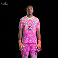 Fifa World Cup Elephants GIF by Respective