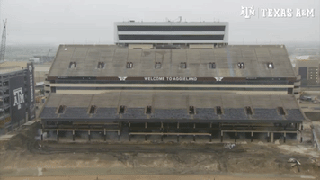 Section of Texas Stadium Demolished for Renovation
