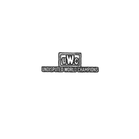 undisputedworldchampions wrestling wcw ska nwo Sticker