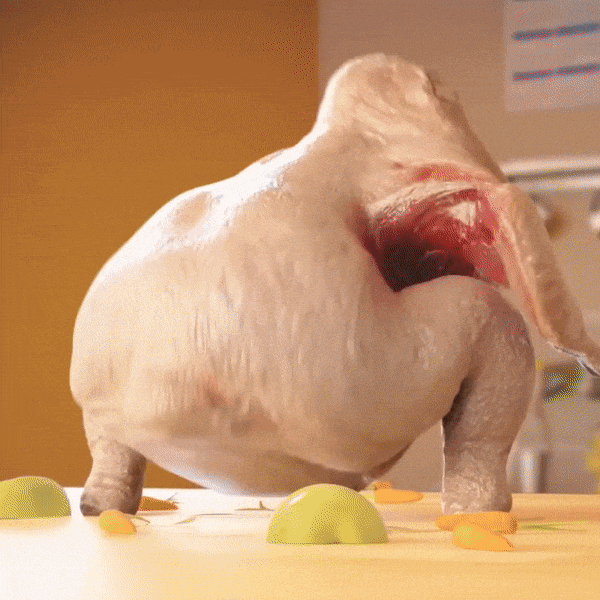 giphy.gif
