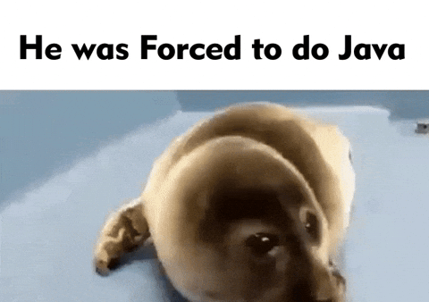 Java Developer GIFs - Find & Share on GIPHY