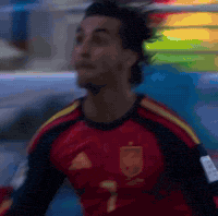 Argentina Spain GIF