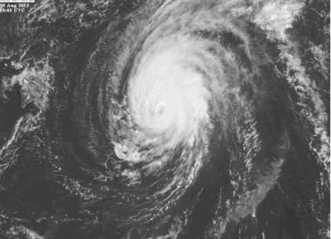 hurricane GIF