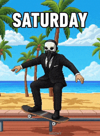 Skating Venice Beach GIF by ABCNT