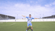 Celebration Goal GIF by Arandina CF