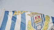 Castilla Y Leon Burgos GIF by Arandina CF