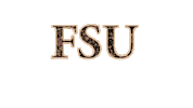 glitter fsu Sticker by Florida State University