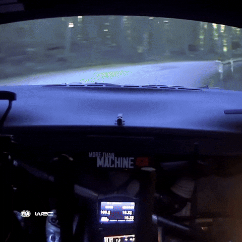 Japan Driving GIF by FIA World Rally Championship